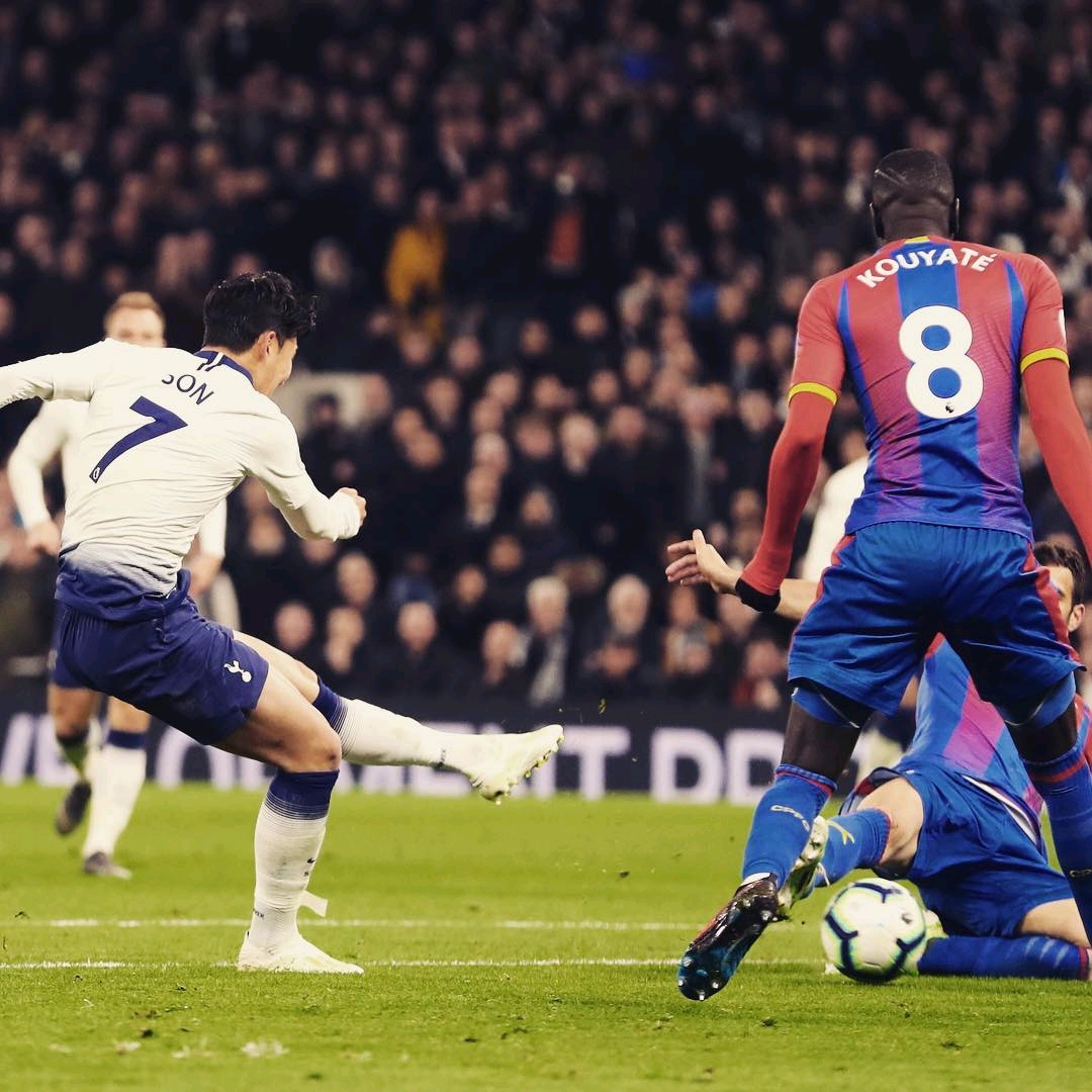 费的支出 费的支出